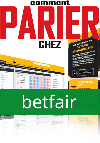 Comment Parier sur Betfair au Niger ?